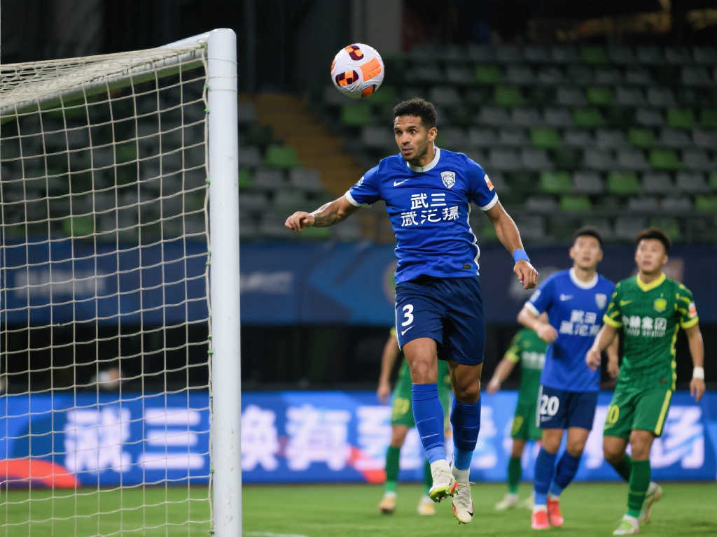 西布朗維奇 西布朗維奇