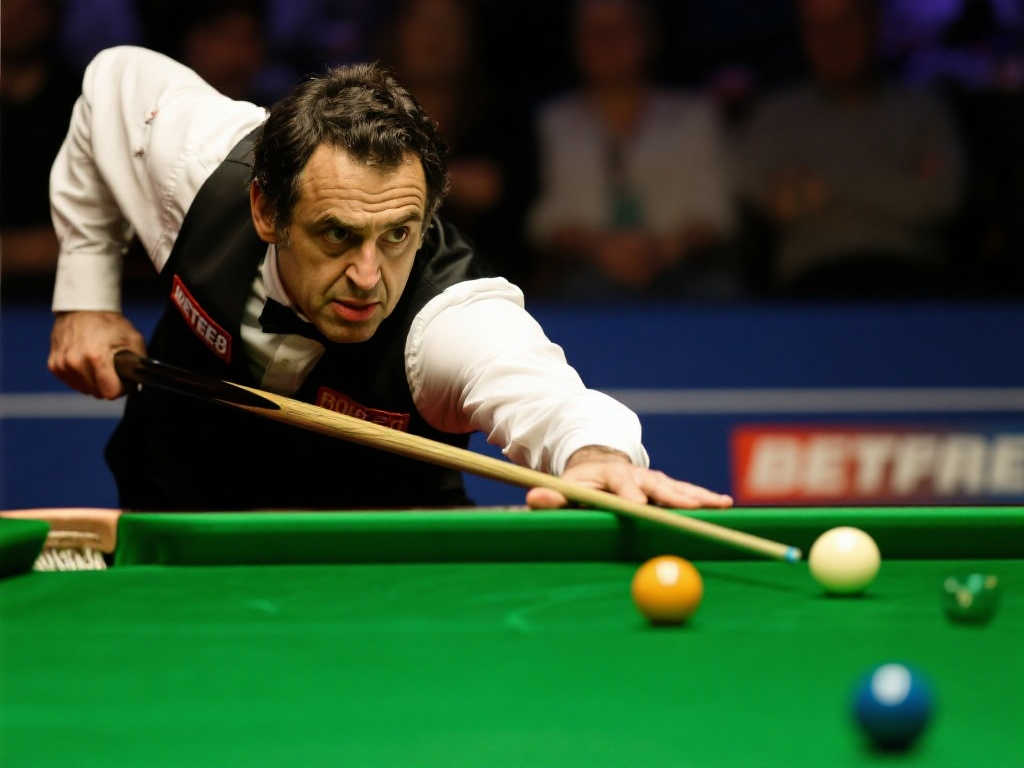 明智的选择 明智的选择